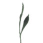 Fleur en laine Duo de feuille pointues