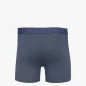 Boxer Petrol Blue