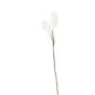 Fleur en laine Branche Coton