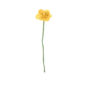 Fleur en laine Jonquille Jaune