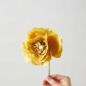 Ice Poppy Ochre