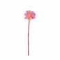 Fleur en laine Dahlia rose