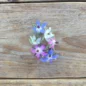 Graine Blue And White Flowered Mix Bourrache