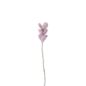 Fleurs en laine - Lavande Rose
