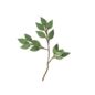 Fleurs en laine - Feuillage vert
