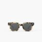 Lunettes Sun #road Light Tortoise