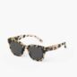 Lunettes Sun #road Light Tortoise