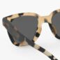 Lunettes Sun #road Light Tortoise