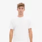Tee Shirt Oversized Tropical Sea