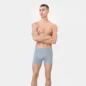 Boxer Dusty Olive